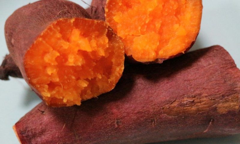 khoai-lang-nhat khoai-lang-nhat